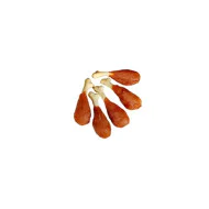 Kozmo poslastica za pse - Pačiji batak 500g