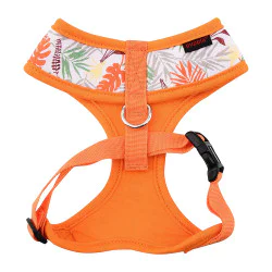 Puppia am za psa - UASA-HA1604 ORANGE