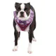 Puppia am za psa - UALA-AC860 - Purple