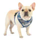 Puppia am za psa - UASA-HA1601 - Blue Camo
