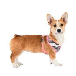 Puppia am za psa - UASA-HA1601 - Pink Camo