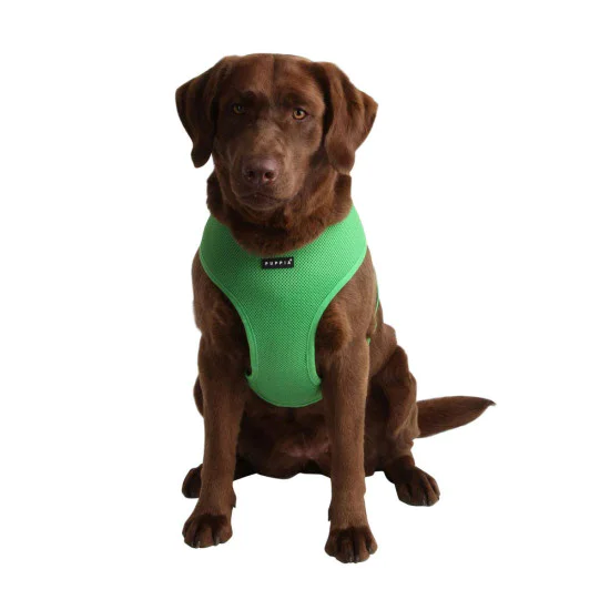 Puppia am za psa - UDCF-AC30 - Green