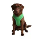 Puppia am za psa - UDCF-AC30 - Green