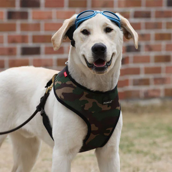 Puppia am za psa - UDCF-AC30 - Camo