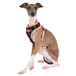 Puppia am za psa - ULSA-HA1602 - Black