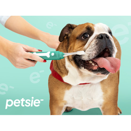 PETSIE četkice sa izmenjivom glavom - L (za pse preko 20kg)