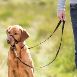 TRIXIE Top Trainer Training Harness - trening traka za njušku XS 17cm
