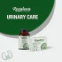 Regalena Urinary care 60 kom