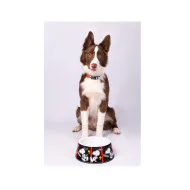 Snoopy Činija Film Color Black melamin S 380ml