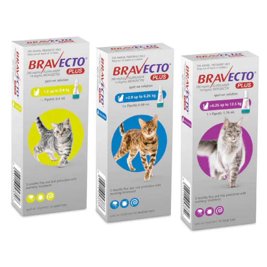 BRAVECTO Spot on za mačke