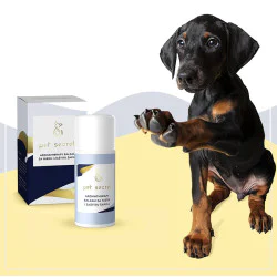 Pet Secret - Aromatherapy balzam za negu šapica pasa i mačaka 30 ml