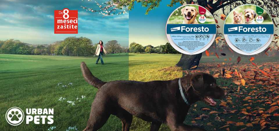 Foresto ogrlica - Urban Pets