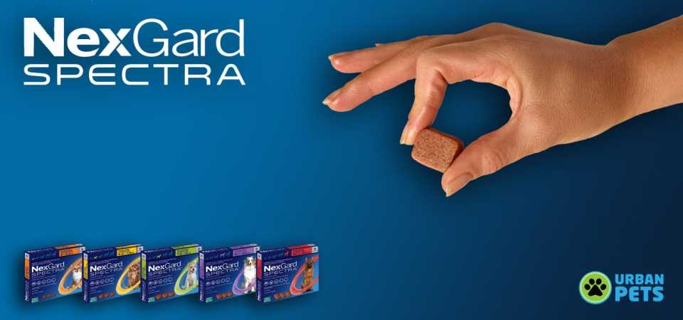 NexGard Spectra u URBAN PETS pet shop-u