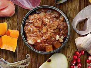 N&D Farmina hrana za pse