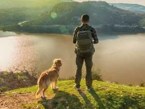 Koliko dnevno treba hraniti psa?