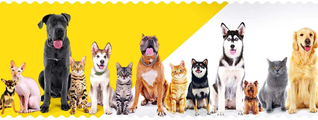 Happy Dog hrana za pse Happy Dog hrana za pse