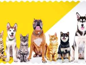 Happy Dog hrana za pse