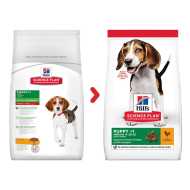 Hill's Science Plan hrana za pse Medium Puppy Piletina 14kg