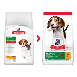 Hill's Science Plan hrana za pse Medium Puppy Piletina 14kg