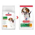 Hill's Science Plan hrana za pse Medium Puppy Piletina 14kg