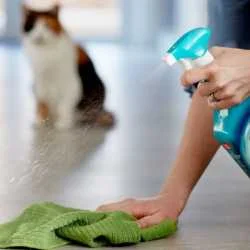 Simple Solution Stain&Odour Remover Cat sredstvo za čišćenje 750ml