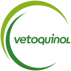 Vetoquinol