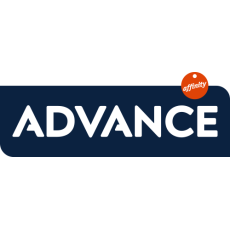 Advance Advance