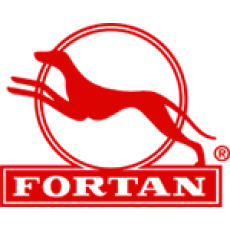 Fortan