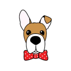Kiki Pet