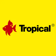 Tropical Tropical