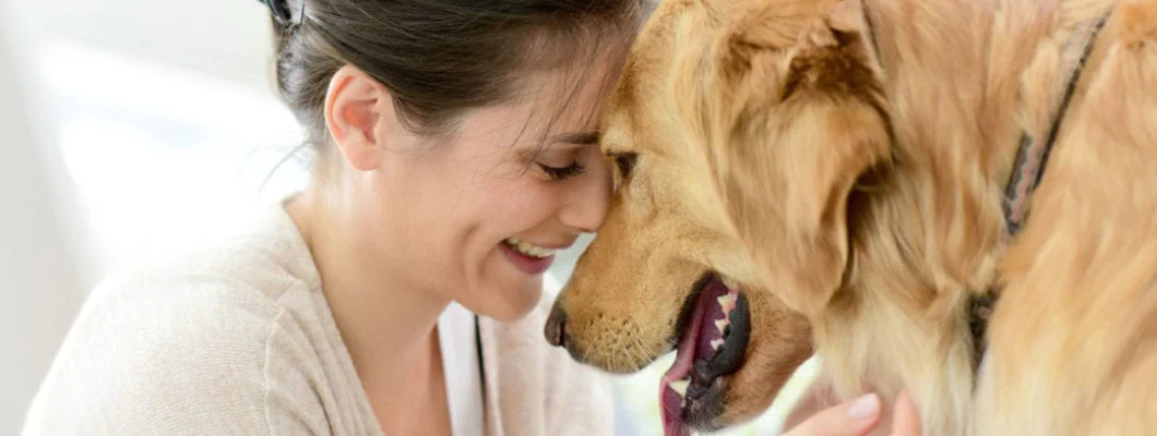 Pet Calm - preparat za opuštanje kućnih ljubimaca
