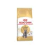 Royal Canin hrana za mačke British Shorthair 400g