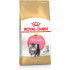Royal Canin hrana za mačke Persian Kitten 2kg