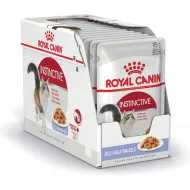 Royal Canin kesice za mačke Instinctive - žele 12x85g