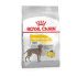 Royal Canin hrana za pse Maxi Dermacomfort 3kg