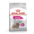 Royal Canin hrana za pse Mini Exigent 1kg