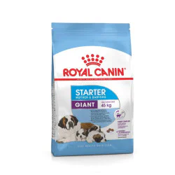 Royal Canin hrana za pse Giant Mother & Babydog Starter 3.5kg