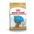 Royal Canin hrana za pse Poodle PUPPY 3kg