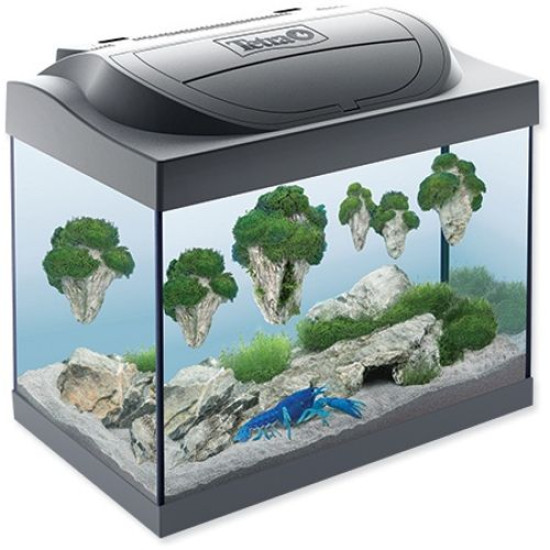 Tetra Akvarijum Start Line LED Cray Black 30l Tetra Akvarijum Start Line LED Cray Black 30l