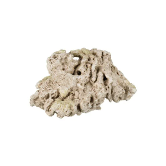 Koral 18cm