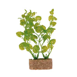 Trixie plastične biljke za akvarijum 20cm 6 komada Trixie plastične biljke za akvarijum 20cm 6 komada
