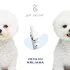 Pet Secret Tonik za čišćenje suznih mrlja - 100 ml