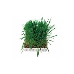 Trixie trava za glodare u činiji 100g