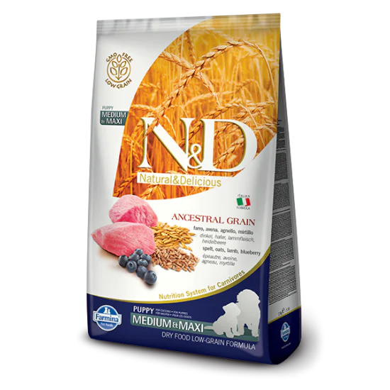 N&D Ancestral Grain hrana za pse Puppy Medium&Maxi - Jagnjetina i borovnica 12kg