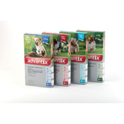 Bayer ADVANTIX spot-on ampula za pse 1kom