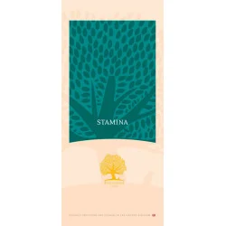 Essential hrana za pse Stamina 10kg