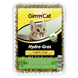 Gimcat Hydro-Gras - hidrirana trava za mačke 100g