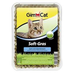 Gimcat Soft-Gras - nežna trava za mačke 100g