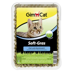 Gimcat Soft-Gras - nežna trava za mačke 100g