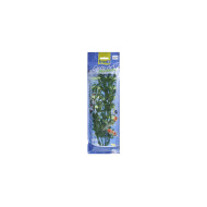 Tetra biljka za akvarijum Hygrophila 30cm Tetra biljka za akvarijum Hygrophila 30cm